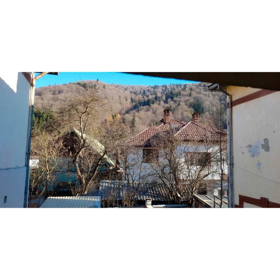 Vaso Apartament Sinaia Zewnętrze zdjęcie