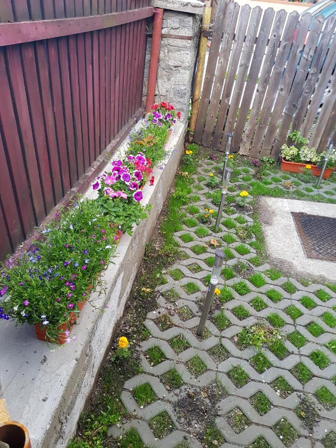 Vaso Apartament Sinaia Zewnętrze zdjęcie